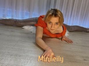 Minileily