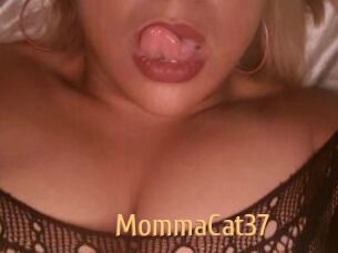 MommaCat37