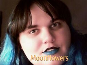 Moonflowers