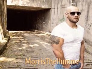 MorrisTheHumme