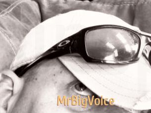 MrBigVoice