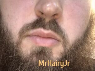 MrHairyJr