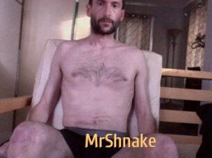 MrShnake