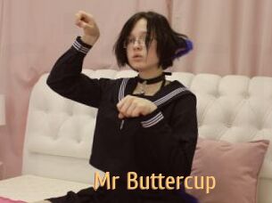 Mr_Buttercup