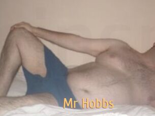 Mr_Hobbs