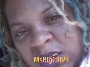 MsBigClit23