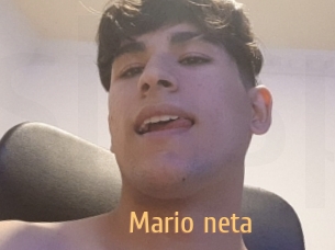 Mario_neta