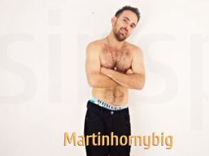 Martinhornybig