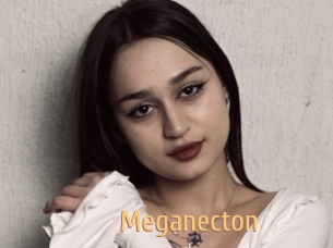 Meganecton