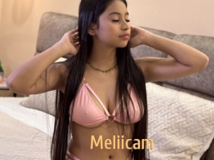 Meliicam