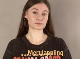 Merylappling