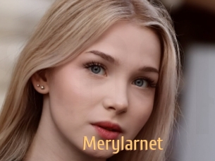 Merylarnet