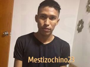 Mestizochino23