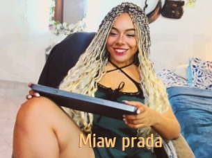 Miaw_prada