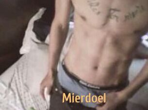 Mierdoel