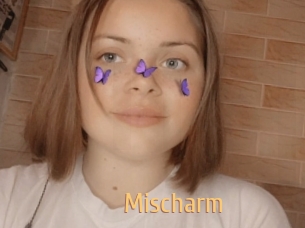 Mischarm