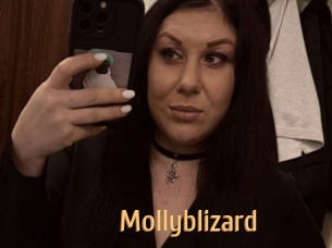 Mollyblizard