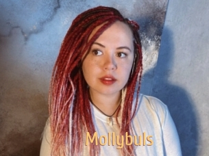 Mollybuls