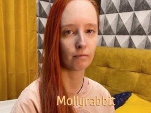 Mollyrabbit