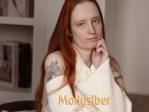 Mollysiber