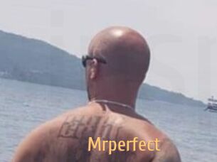 Mrperfect