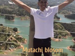 Mutachi_blosom