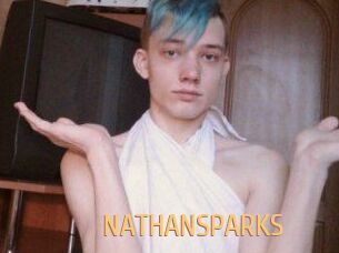 NATHAN_SPARKS