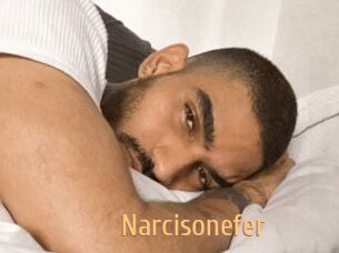 Narcisonefer