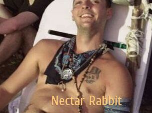 Nectar_Rabbit