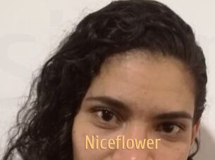 Nice_flower