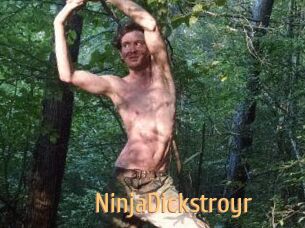 NinjaDickstroyr