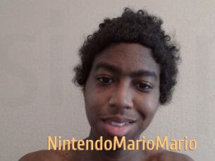 NintendoMarioMario