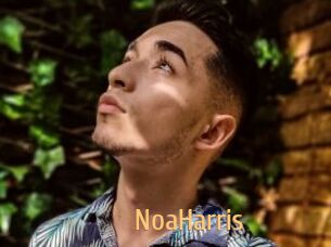 NoaHarris