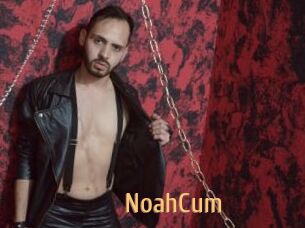 NoahCum