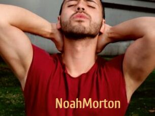 NoahMorton