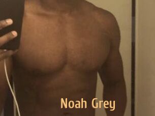 Noah_Grey