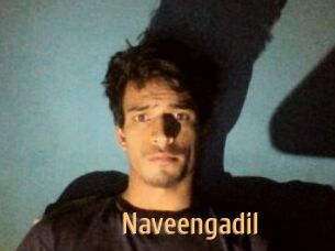 Naveengadil