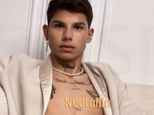 Nedfollin