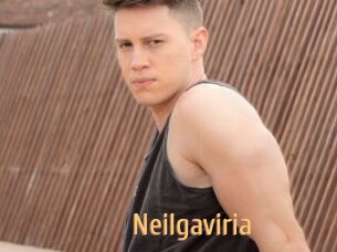 Neilgaviria