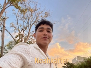 Noahkarter