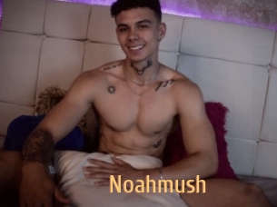 Noahmush