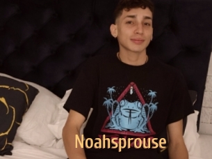 Noahsprouse