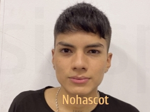 Nohascot