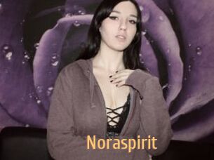 Noraspirit