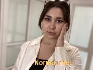 Normaarnet