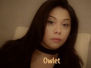 _Owlet_