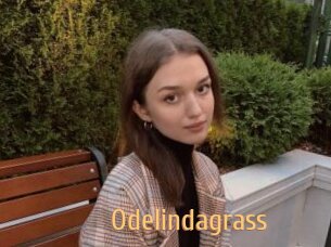 Odelindagrass