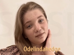 Odelindahedge