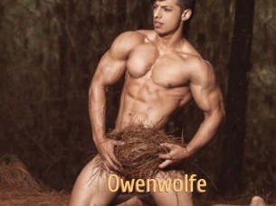 Owenwolfe