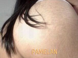 PAMELA_N